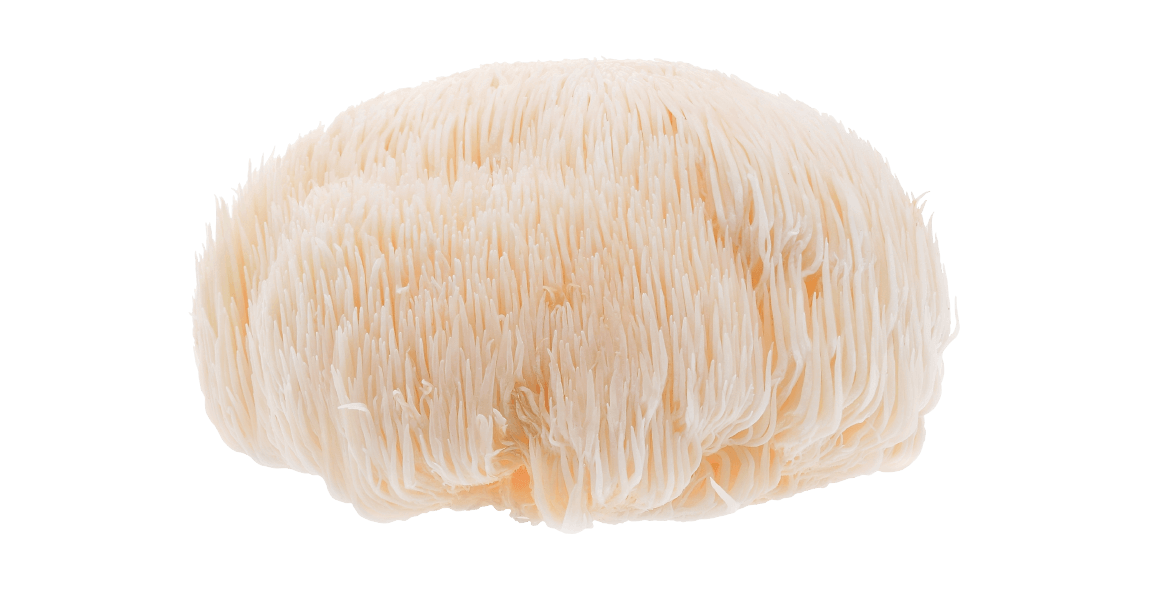 Goodmind mushroom capsules